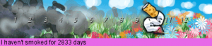 1b46e5ab75.png